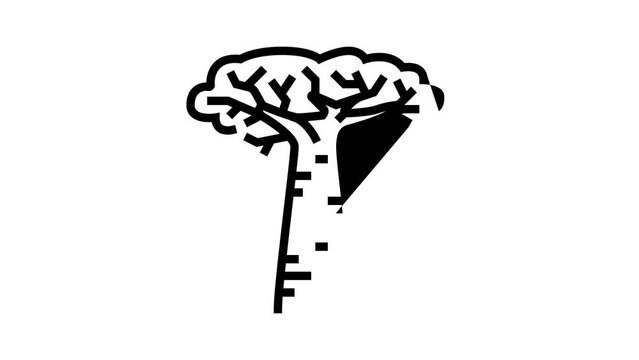 baobab africa tree line icon animation