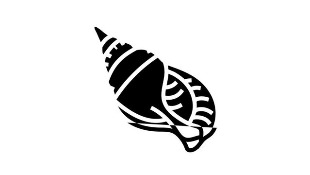snail sea shell beach line icon animation