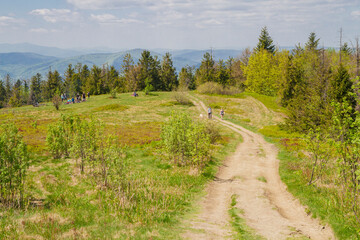 Fototapeta na wymiar Peak of the Ćwilin mountain in Beskid Wyspowy (Lesser Poland) Szczyt 