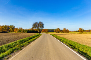 Fototapeta na wymiar Sunny autumn day in european countryside. Rural road. Czech Republic.