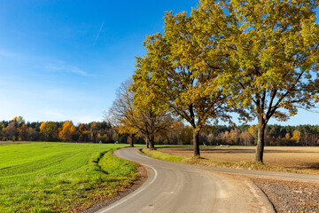 Sunny autumn day in european countryside. Rural road. Czech Republic.