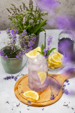 Elegant glass of Lavender Mint Vodka Cocktail, drink, lemonade or mocktails surrounded by ingredients on gray table surface