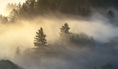beautiful low fog, high clouds, and sunlight in California.
