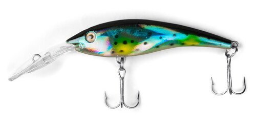 Fishing Lure