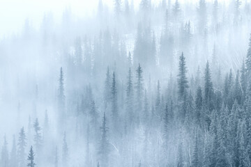 Hazy Shade of Winter