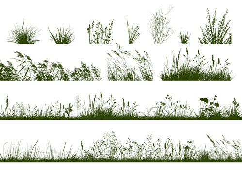 Set of horizontal banners of meadow silhouettes with grass. Vector illustration