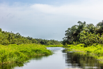 The mangrove is located in a serene environment in the coastal region of Epe. Epe is a very calm...