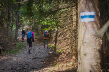 Tourists on the mountain Ćwilin Beskid Wyspowy (Lesser Poland) Szczyt "Ćwilin" w Beskidzie Wyspowym (Małopolska)