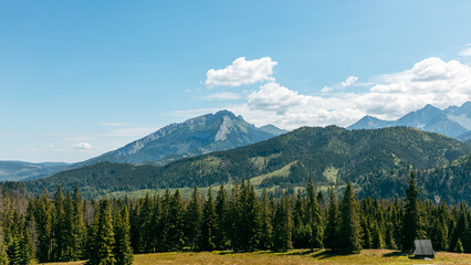 Panoramic view of Tatra Mountains. The valley in the Tatras near Zakopane. View of mountain peaks in summer time
