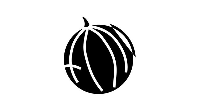 melon round cantaloupe line icon animation
