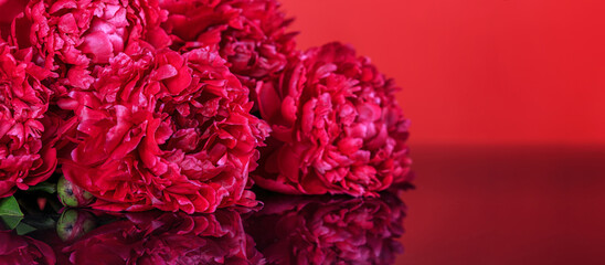 Obraz premium Аbstract romance background with delicate red peonies flowers, close-up. Romantic banner with free copy space for text