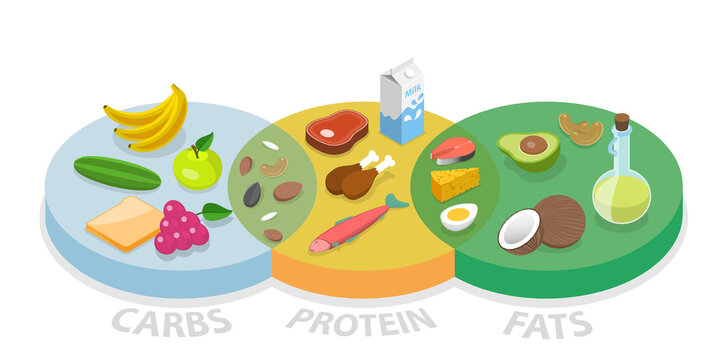 3D Isometric Flat  Conceptual Illustration of Macronutrients Chart