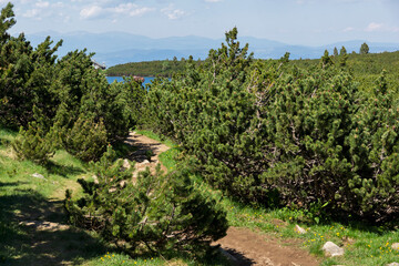 Fototapeta na wymiar Summer Landscape of Pirin Mountain near Bezbog Lake, Bulgaria