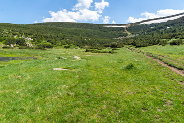 Fototapeta na wymiar Summer Landscape of Pirin Mountain near Bezbog Lake, Bulgaria