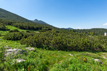 Summer Landscape of Pirin Mountain near Bezbog Lake, Bulgaria