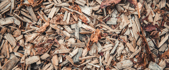 Texture background wood shavings dry leaves. Top view, flat lay. Banner