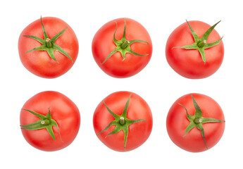 pink tomato path isolated on white top view