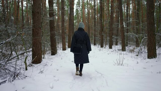 rear view woman dressed coat and knitted hat strolling in forest winter landscape snowy nature outdoor