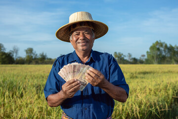 Fototapeta premium Smiling elderly Thai farmer holding Thai Money banknote wearing traditional costume of Thai farmer in rice field.
