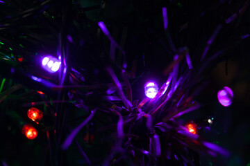 small purple christmas lights