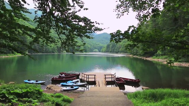 Biograd Lake and national park Biogradska Gora on the Bjelasica mountain in fall, Montenegro