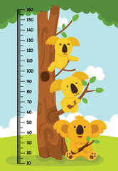 Meter wall with koala bear vector illustration