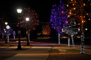 colorful holiday lights on trees in the park