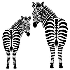 Fototapeta na wymiar Zebra silhouettes, looking back, back view, black and white illustration over a transparent background, PNG image