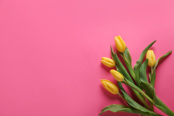 Many beautiful tulips on pink background, flat lay. Space for text