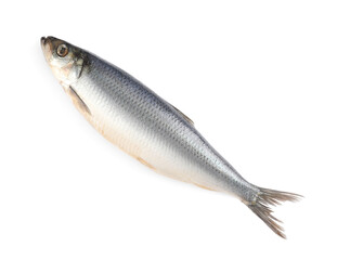 Whole delicious salted herring isolated on white, top view