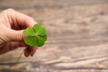 Woman holding green four leaf clover on wooden background, closeup. Space for text