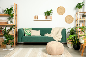 Living room interior with beautiful different potted green plants and furniture. House decor