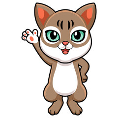 Cute singapura cat cartoon waving hand