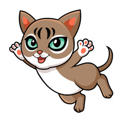Cute singapura cat cartoon flying