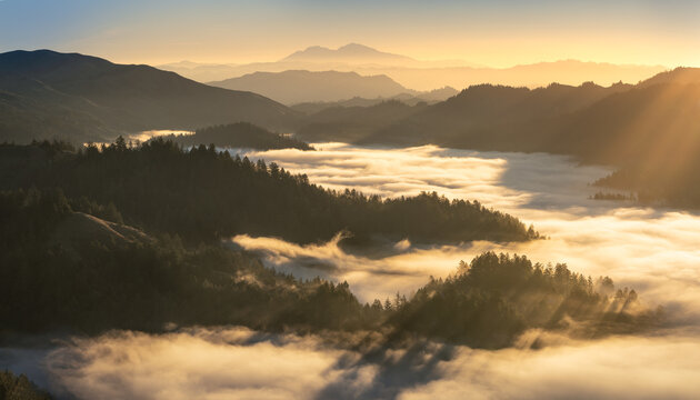 A spectacular sunrise above the fog. Taken in Northern California.