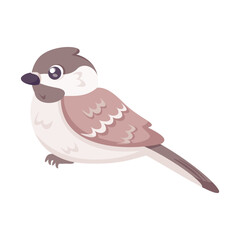 Isolated cute bird icon Animal Vector