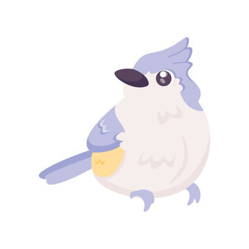 Isolated cute bird icon Animal Vector