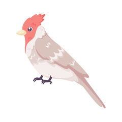 Isolated cute bird icon Woodpecker Vector