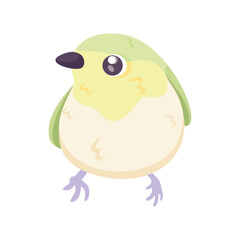 Isolated cute bird icon Animal Vector