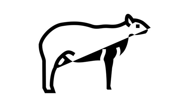 texel sheep line icon animation