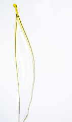 Color liquid splash in the studio