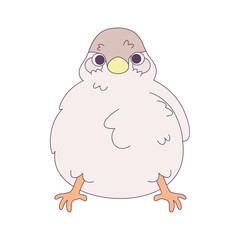 Isolated cute bird icon Animal Vector