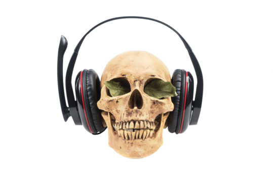 Human skull  in headphones isolated on a white background.
