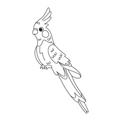 Isolated cute cockatoo bird icon Vector