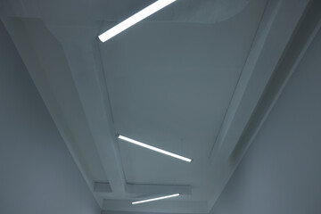 Ceiling with modern lights in renovated room