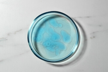 Petri dish with liquid on white marble table, top view