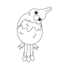 Isolated cute bird icon Animal Vector