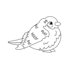 Isolated cute bird icon Animal Vector