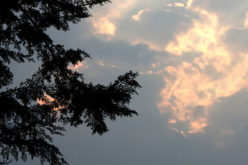 Cielo con nubes al atardecer con tonos azules grises y naranjas, con unas ramas de árbol a contraluz en primer plano en la parte izquierda de la imagen