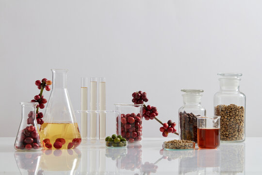 Research coffee extract. Types of coffee, Roasted, peeled, green, and fresh coffee on a white background and laboratory instruments on white background. Coffee extract experiment content